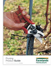 Pruning Guide