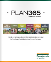 Plan 365