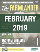 Plan 365 February 2019