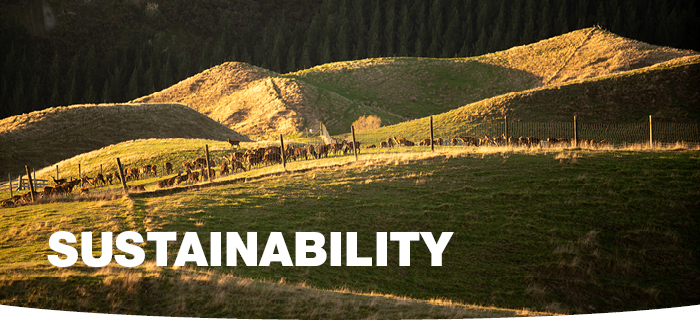 Sustainability