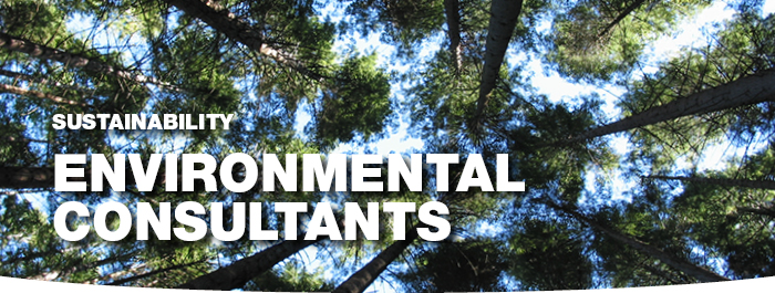 Environmental Consultants