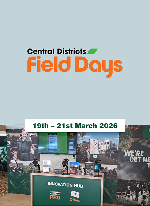 central-districts-2026