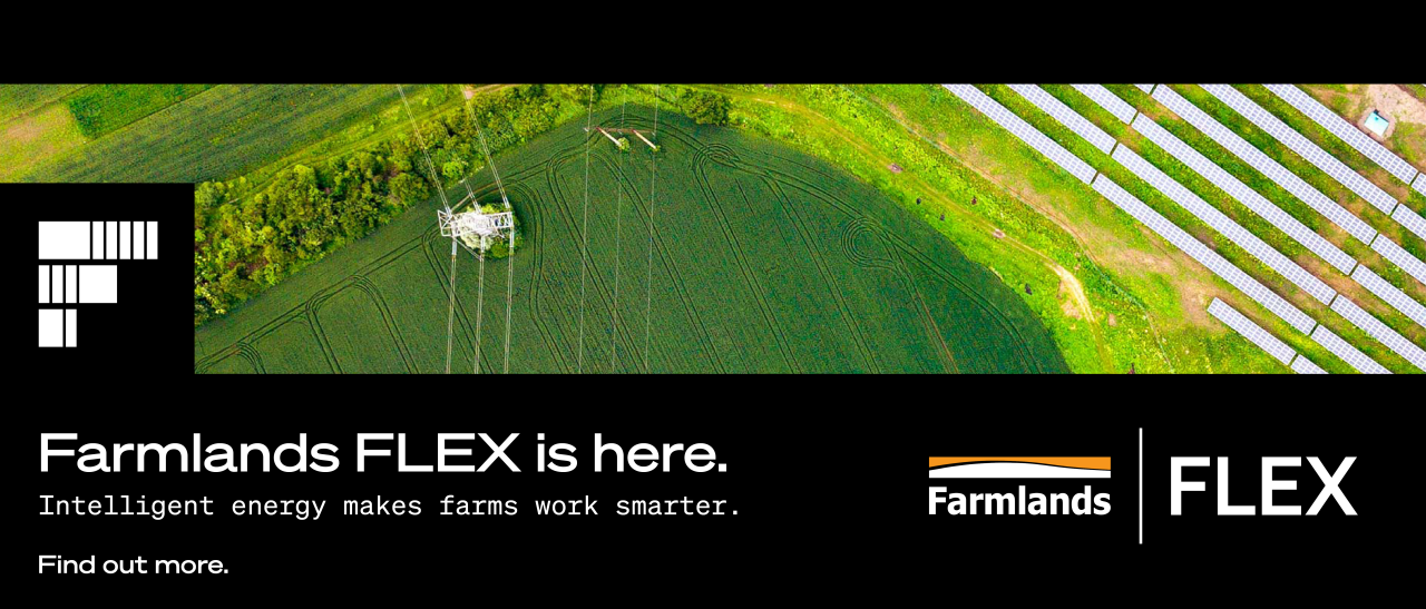 desktop banner