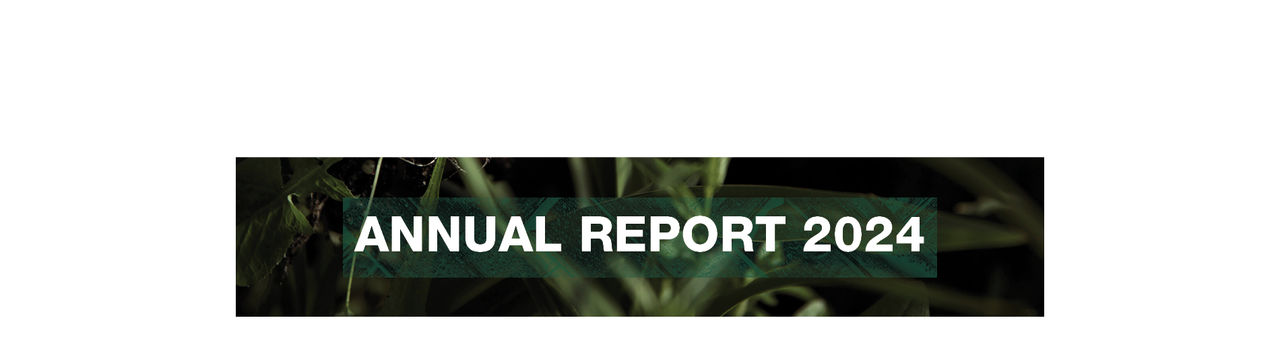 Annual Report 2024