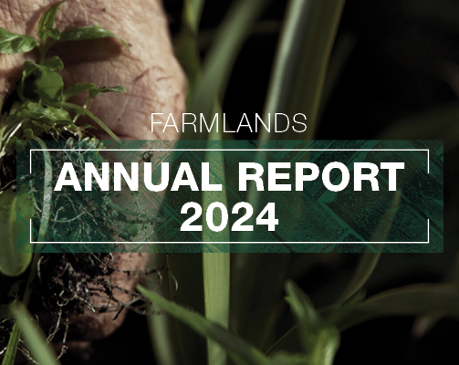 Annual Report 2024