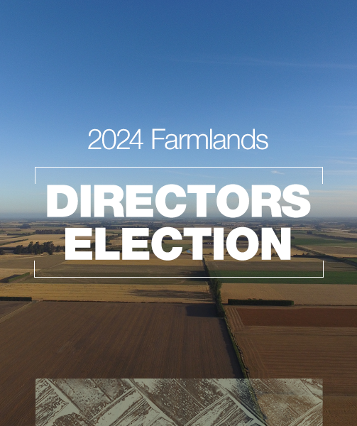 directors election mobile