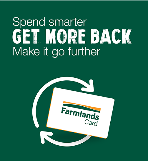 get-more-back-mobile