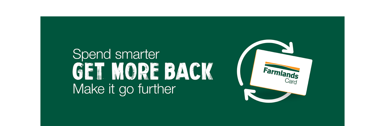 get-more-back-desktop