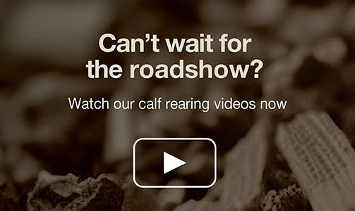 roadshow-video-mobile