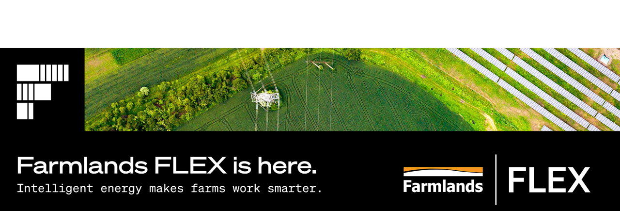 felx-desktop-banner