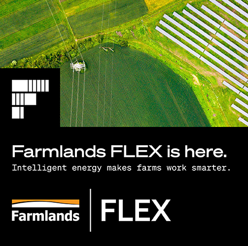 flex-mobile-banner