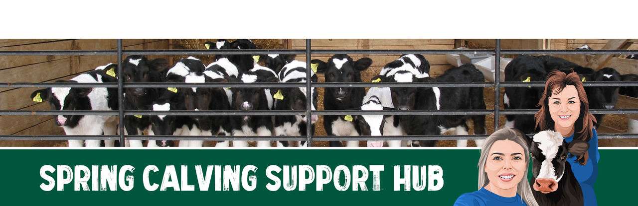 spring-calving-support-hub