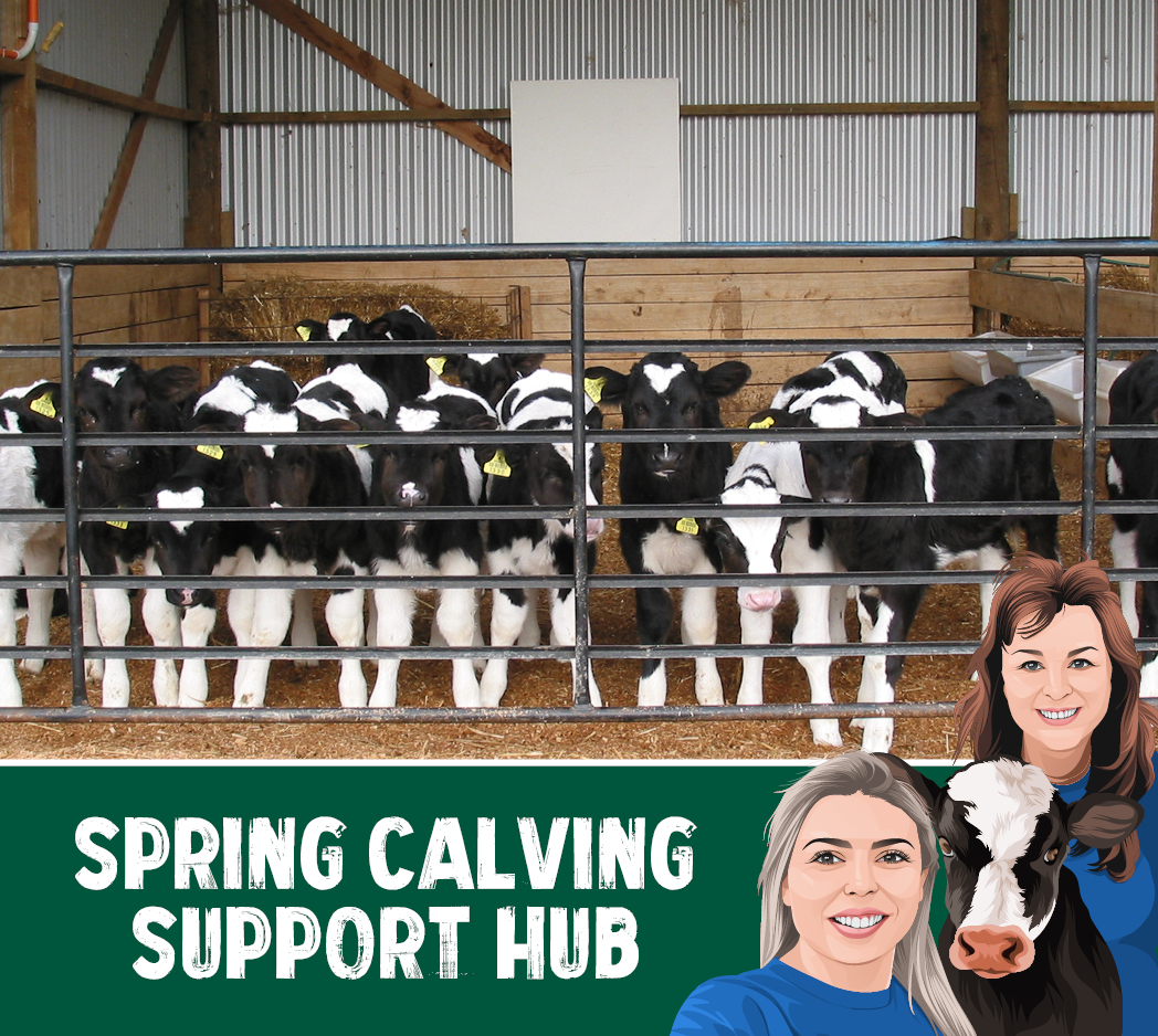 spring-calving-support-hub-mobile