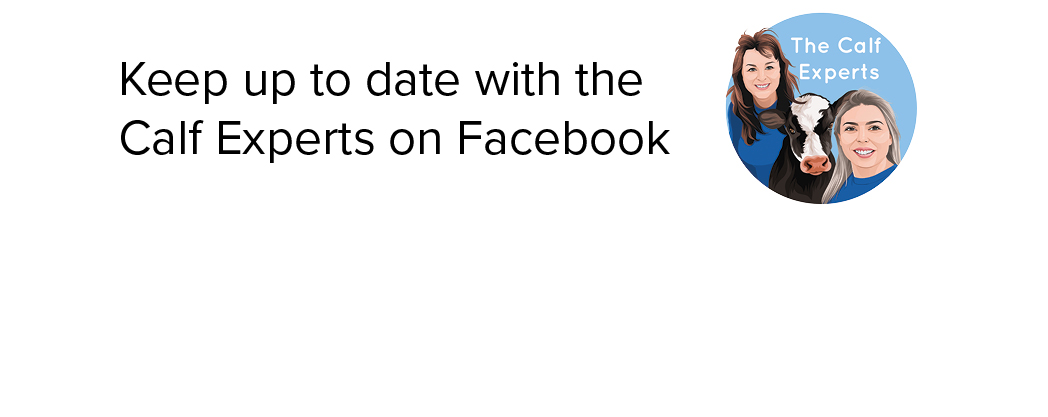 calf-experts-facebook