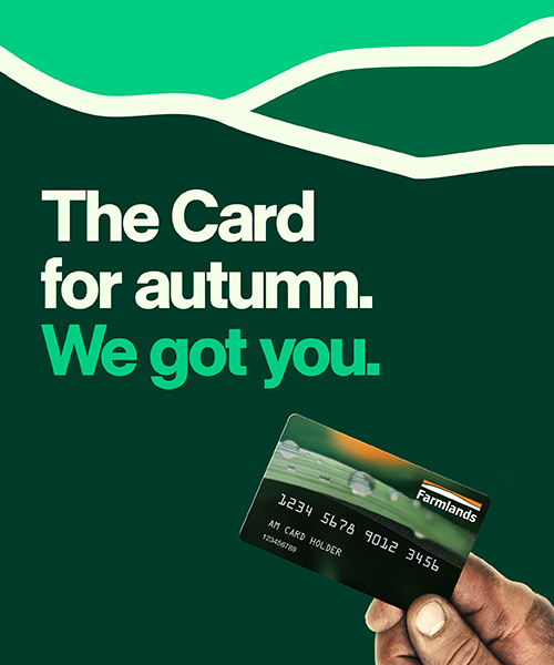 cardpage-mobilebanner