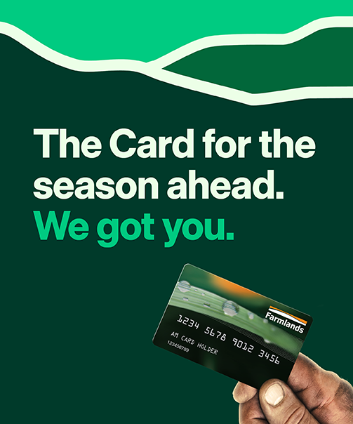 cardpage-mobilebanner