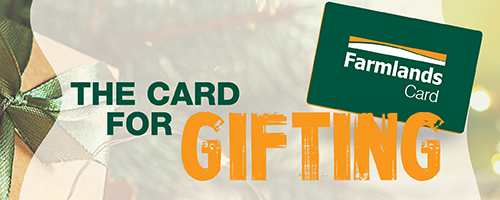 card-for-gifting-mobile