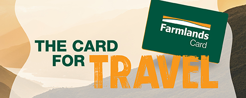 card-for-travel-mobile