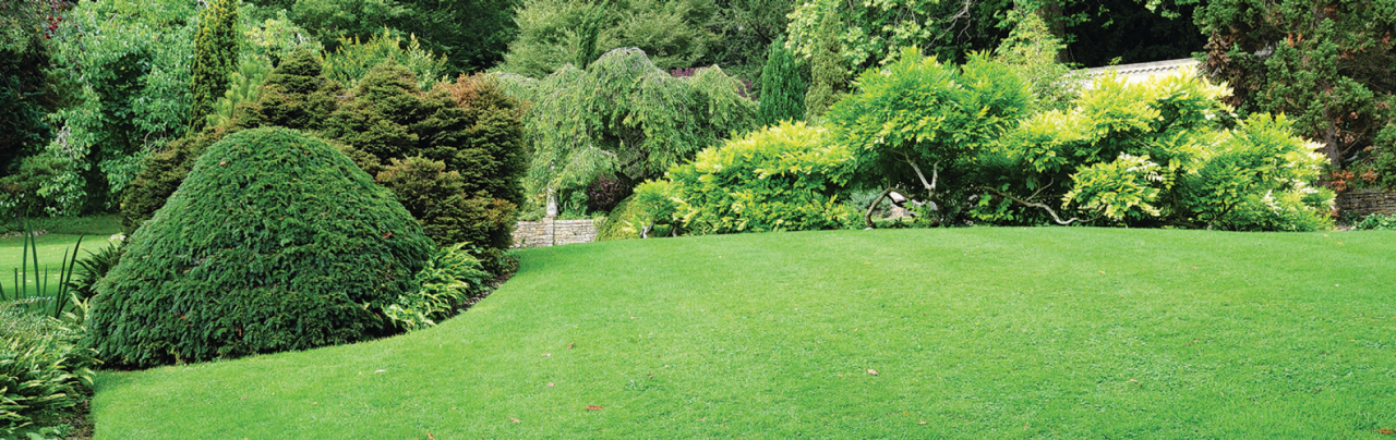 ballance-lawn-care-banner