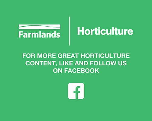 mobile hort banner