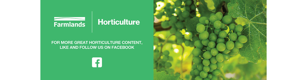 hort-fb-banner-desktop