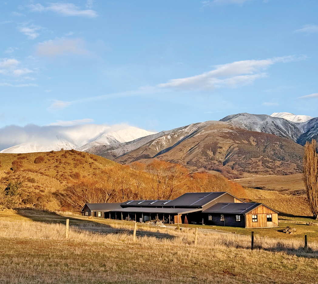 agritourism-middlehurst