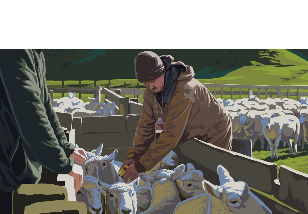 msd-tailing-prelambing-image