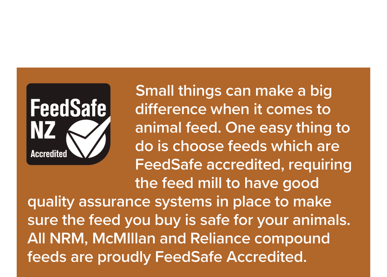 feedsafe-logo
