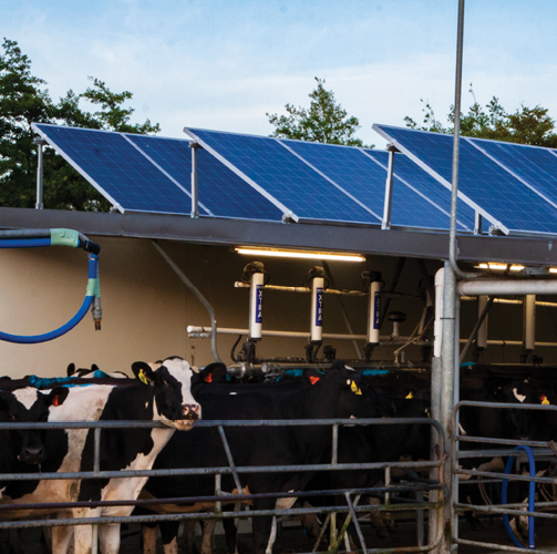 solarmobilebanner