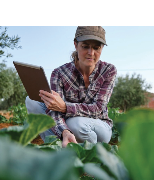 woman in field with tablet