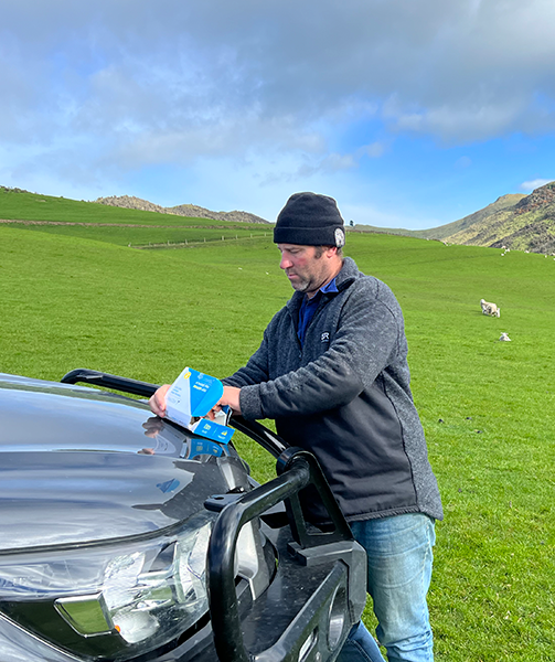 spore testing understanding the basics