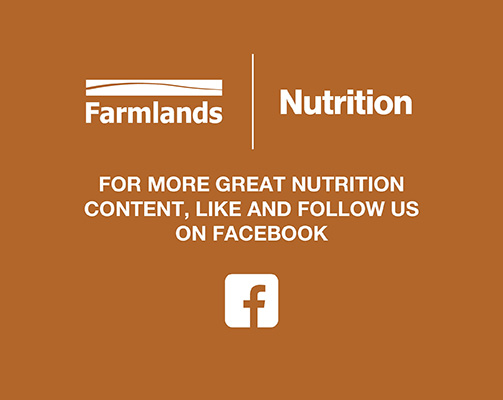 whey-fb-banner