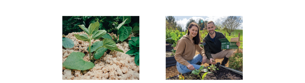 cozy-crops