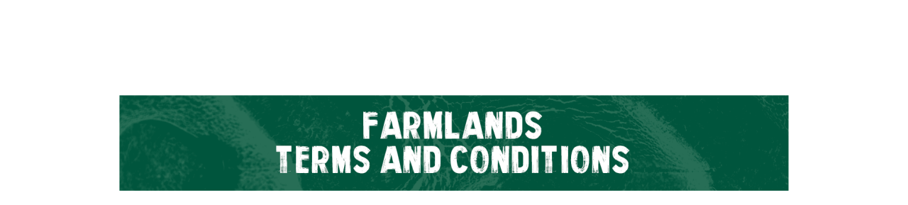 desktop banner 