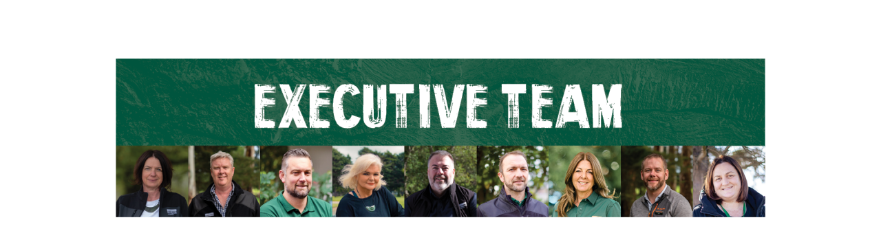 executivedesktopbanner