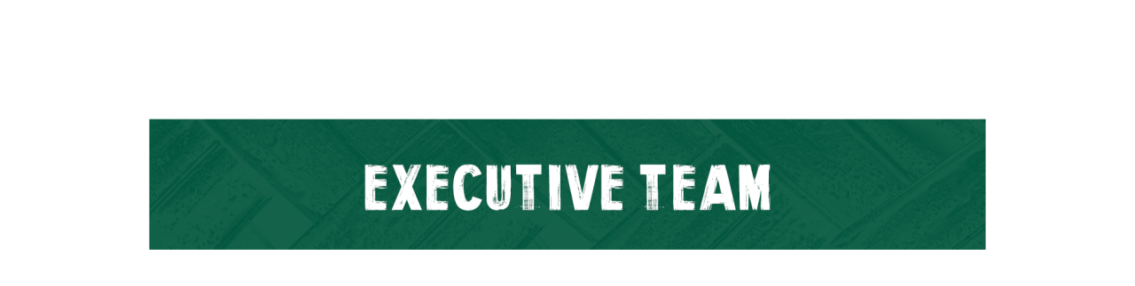 executivedesktopbanner