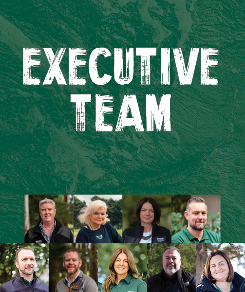 executivemobilebanner