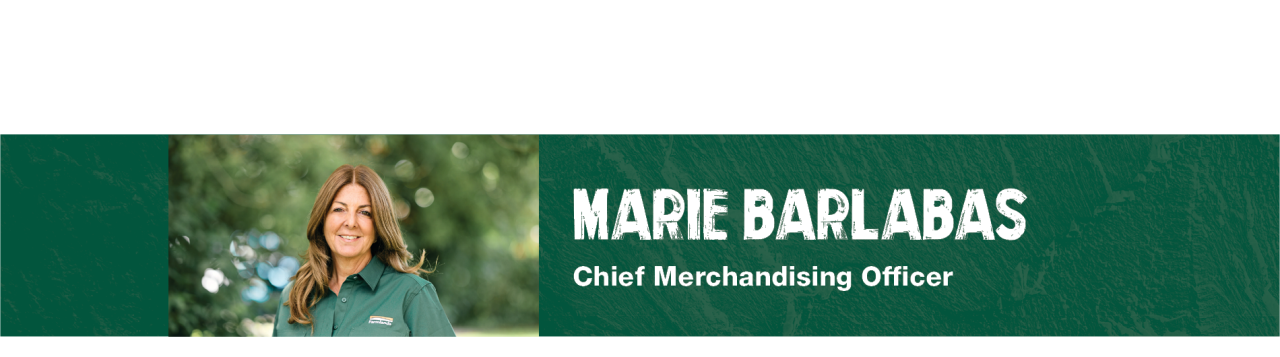 mariedesktopbanner