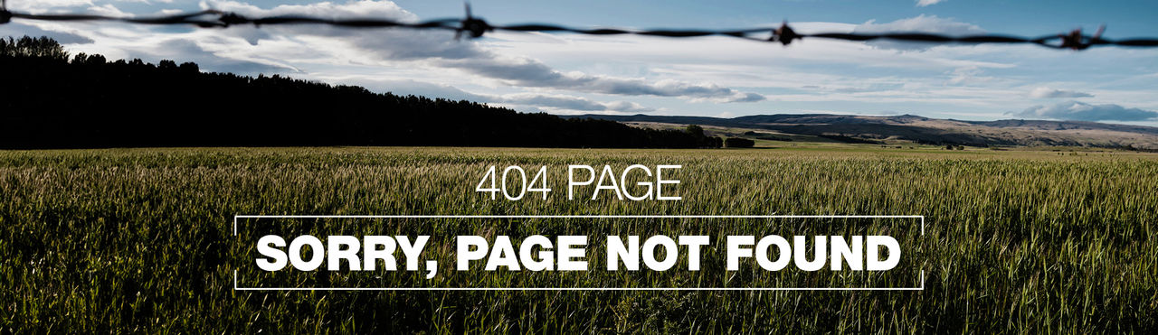 404 desktop banner