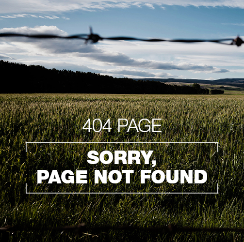 404 mobile banner