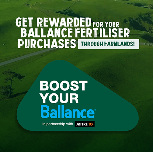 boost your balance mobile