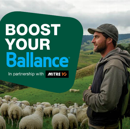 boost your balance mobile