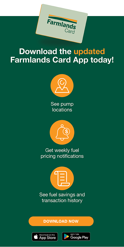 card app mobile banner