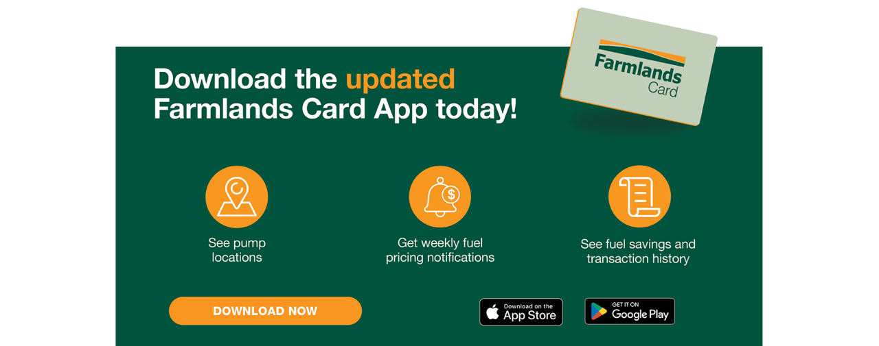 card app banner desktop