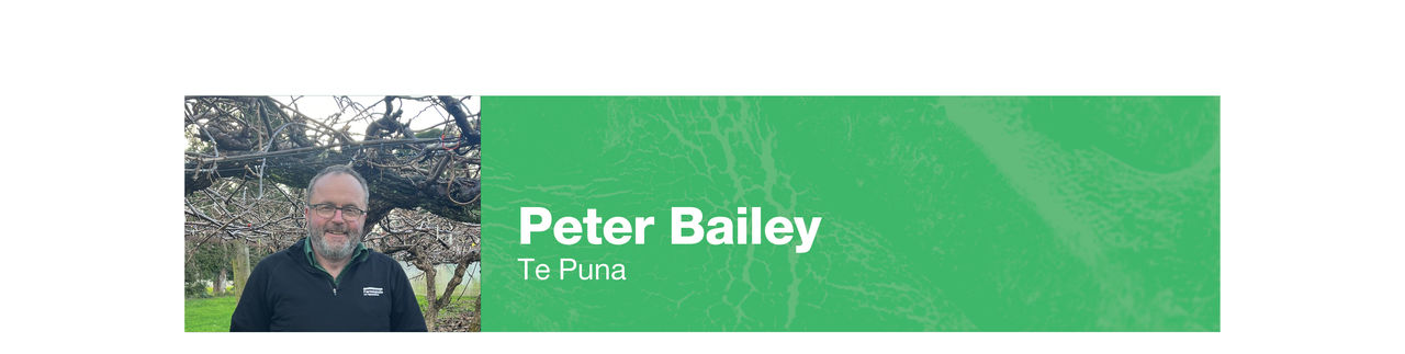 peter-bailey-banner