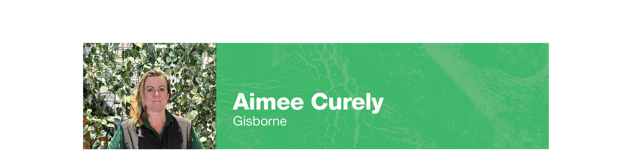 aimee-curely-banner