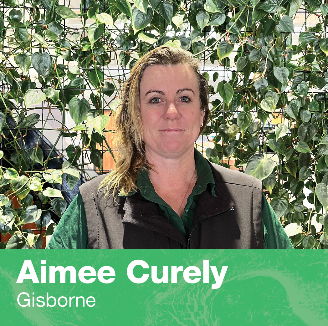 aimee-curely-banner