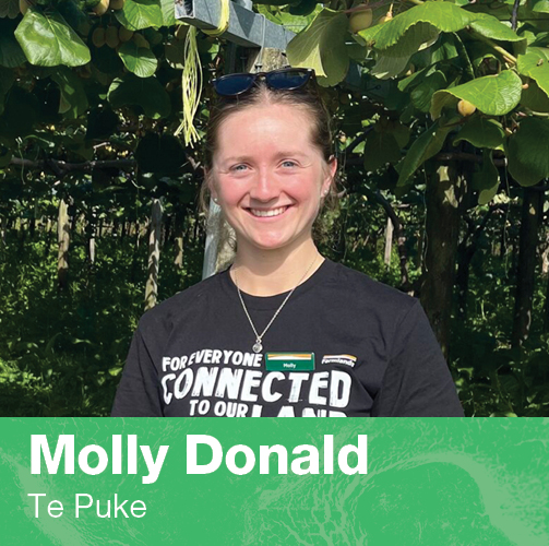 mobile-molly-donald-banner