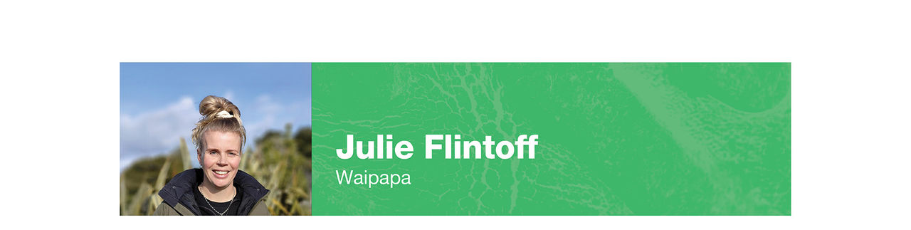 desktop flintoff banner