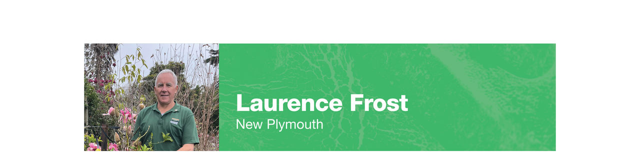 frost banner